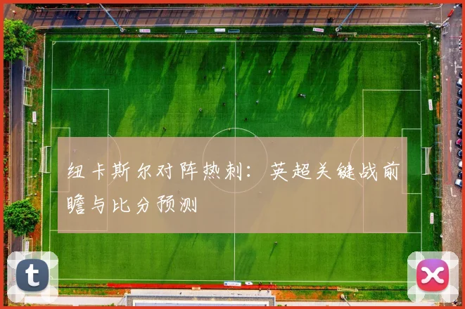 纽卡斯尔对阵热刺：英超关键战前瞻与比分预测