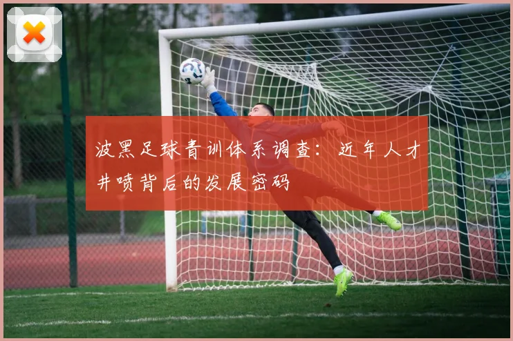 波黑足球青训体系调查：近年人才井喷背后的发展密码