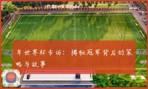 年世界杯专访：揭秘冠军背后的策略与故事