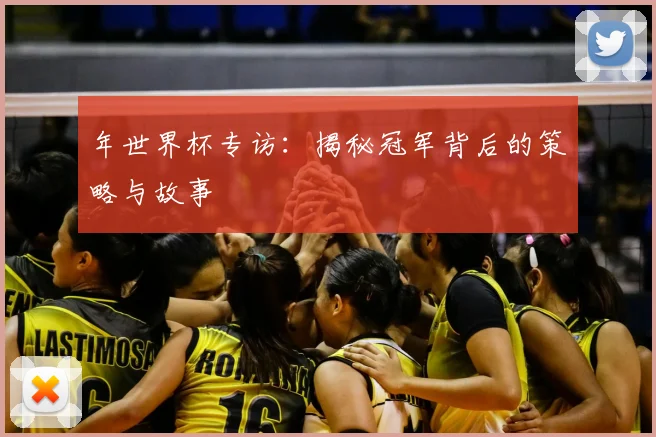 年世界杯专访：揭秘冠军背后的策略与故事