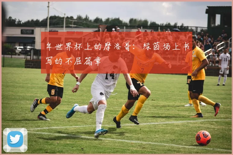 年世界杯上的摩洛哥：绿茵场上书写的不屈篇章