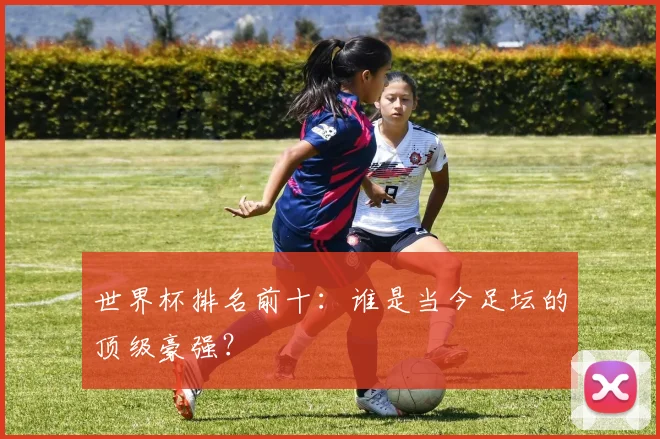 世界杯排名前十：谁是当今足坛的顶级豪强？