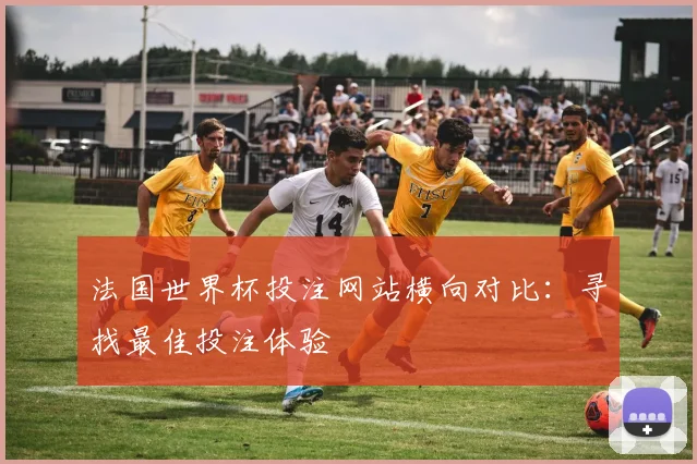 法国世界杯投注网站横向对比：寻找最佳投注体验