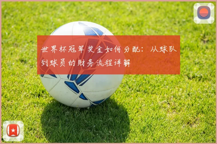 世界杯冠军奖金如何分配：从球队到球员的财务流程详解